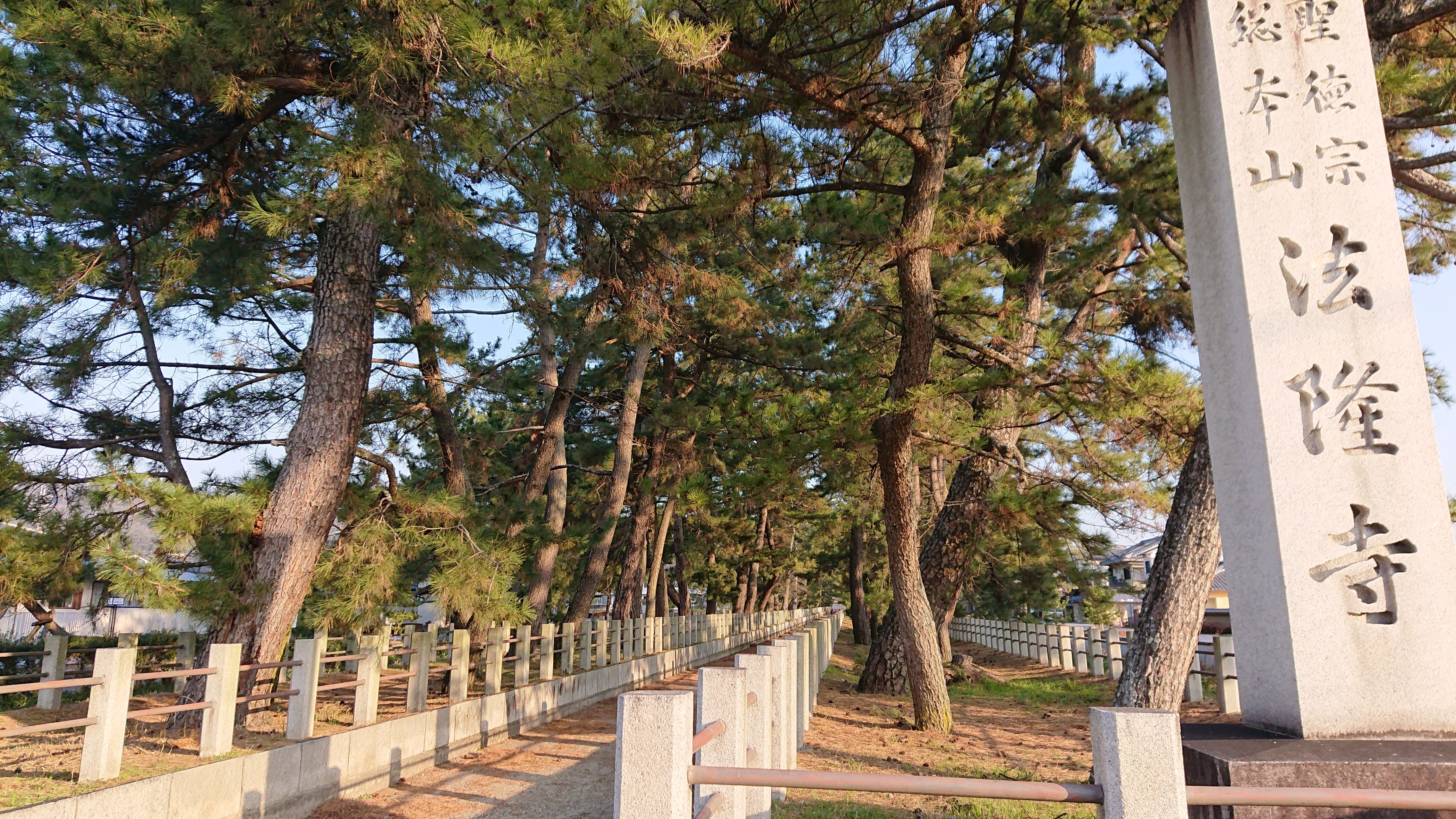 49FB1890-1745-417F-953D-30E985AD43E1