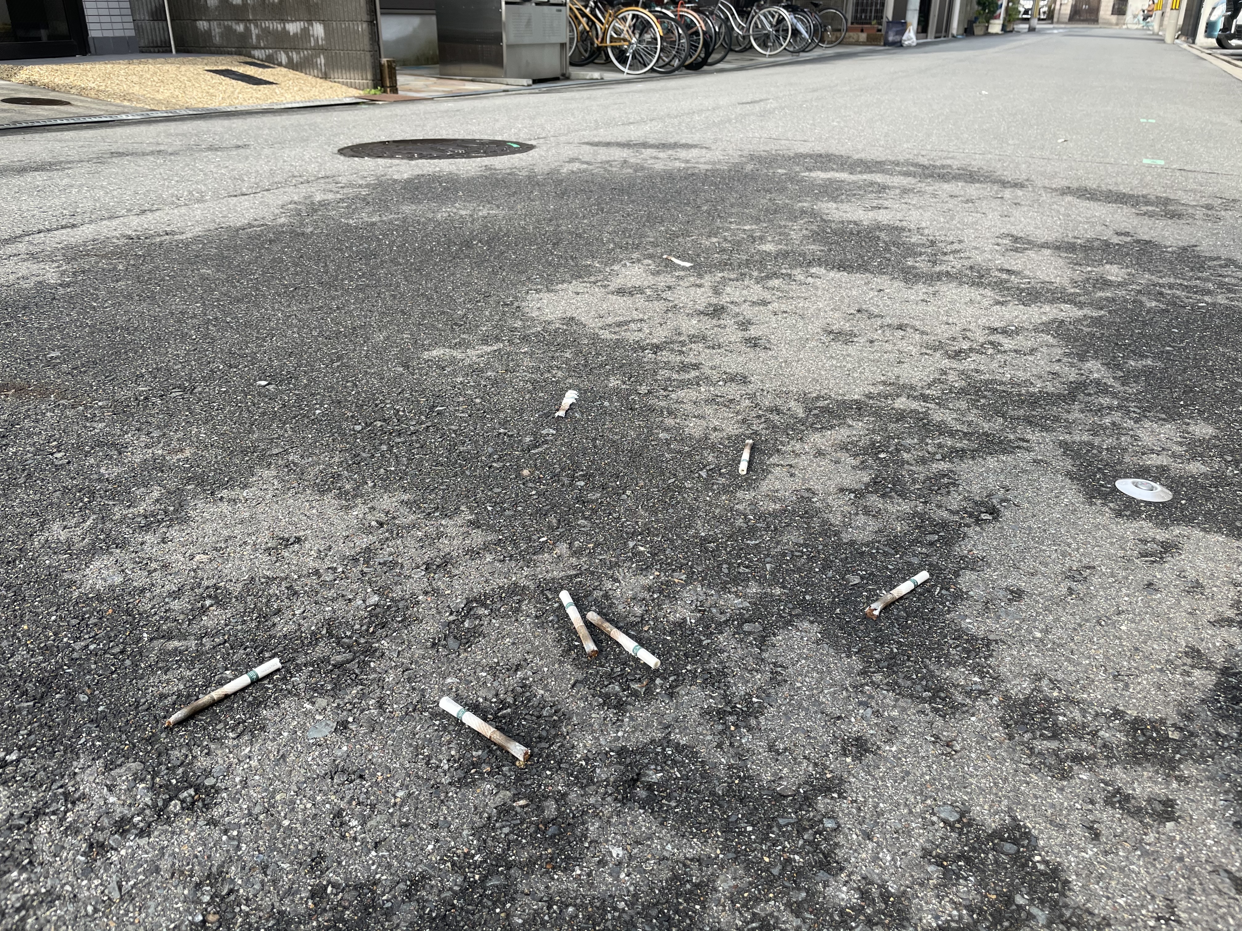 9100AD36-E79B-47E1-95F1-5A27B2D50AEF